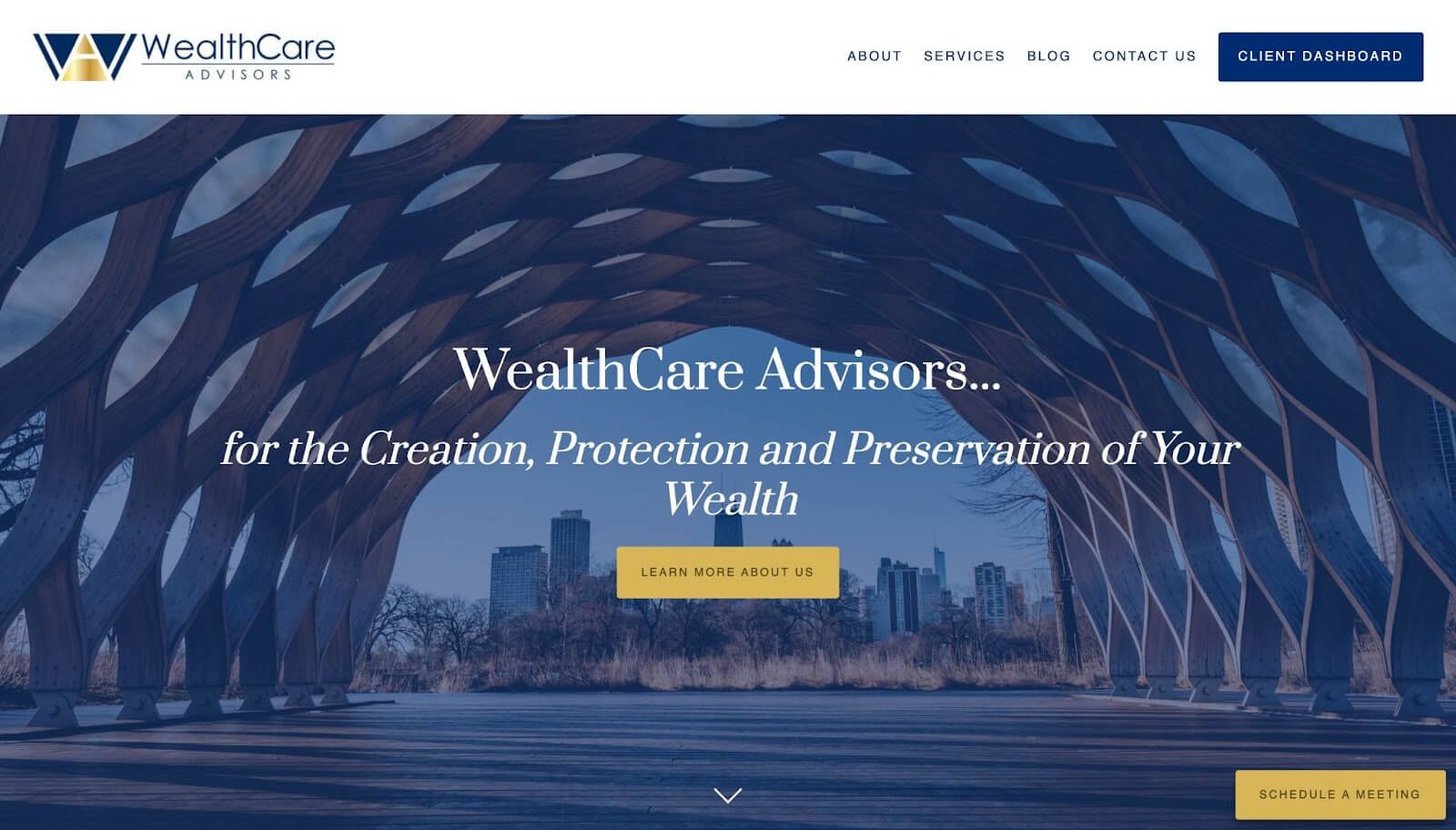 wealthcare advisors